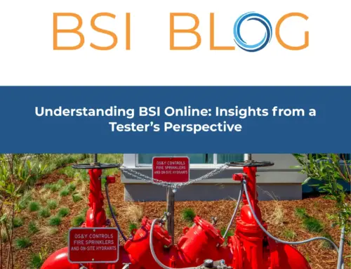 Understanding BSI Online: Insights from a Tester’s Perspective