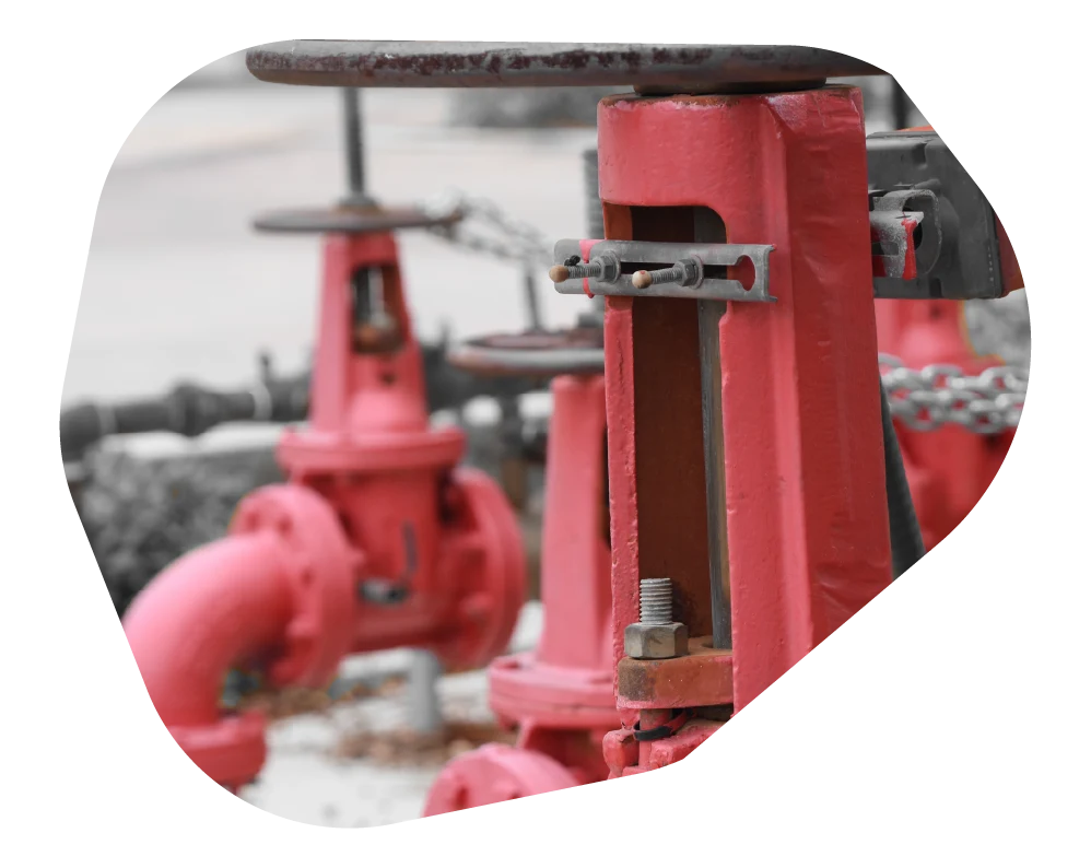 red backflow device 7-01