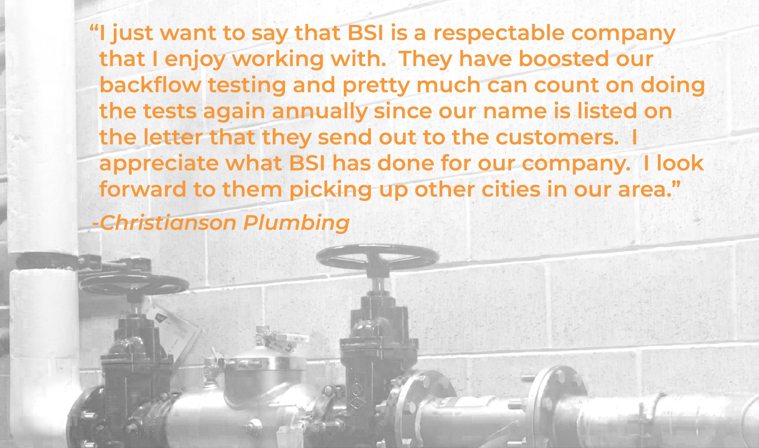 Plumbing company applauds BSI's service as respectable